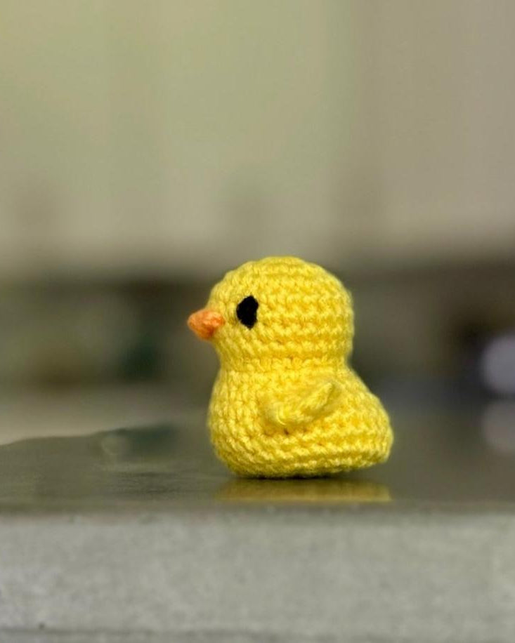 Tiny Duck