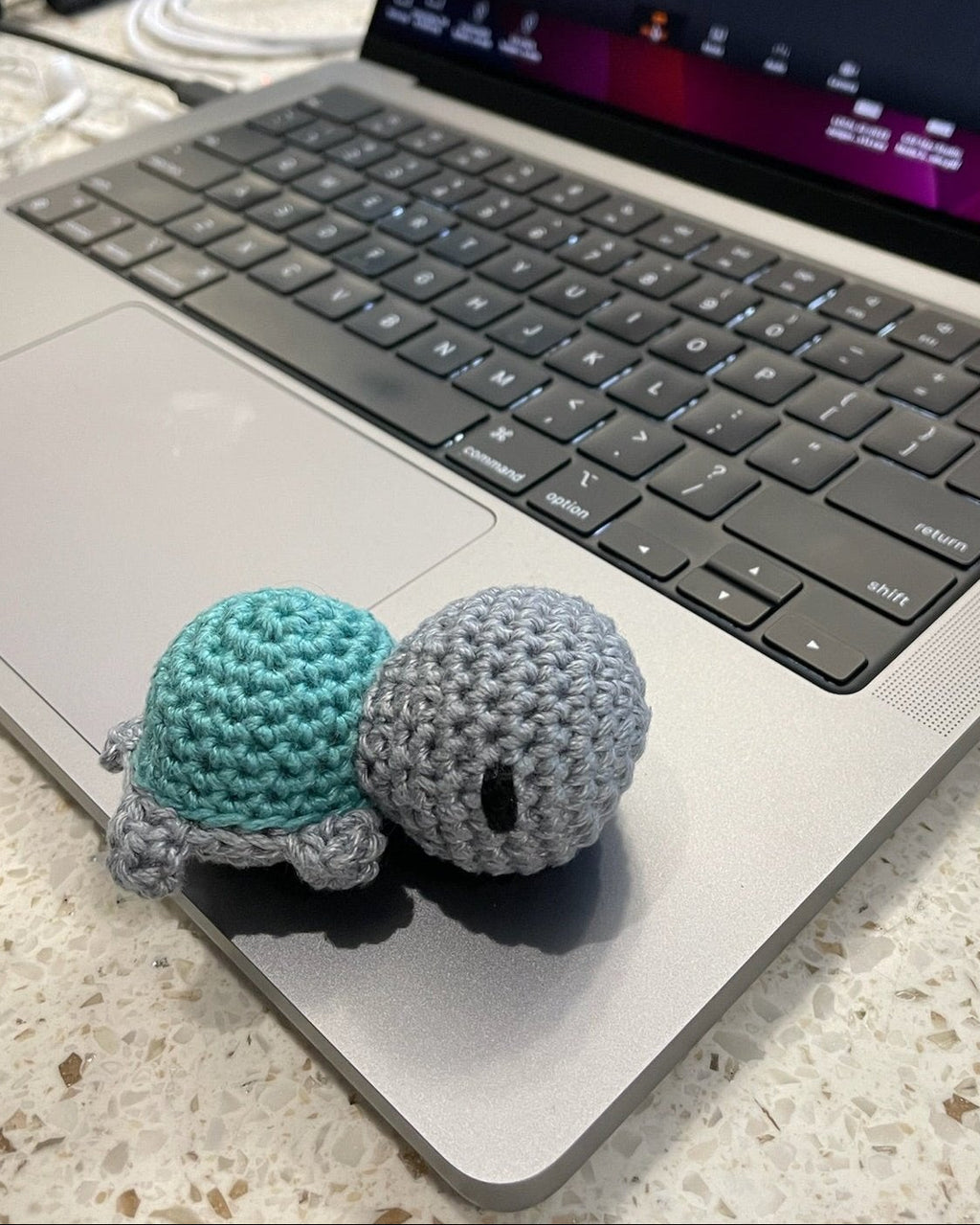 Tiny Turtle