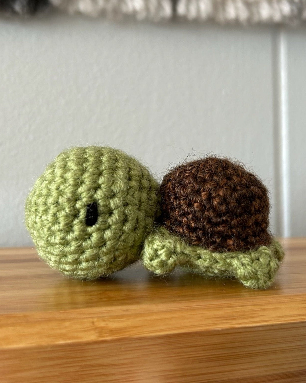 Tiny Turtle